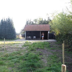 Hondenfoto van liesbeth,Turbo,Luna, Levi en Faith