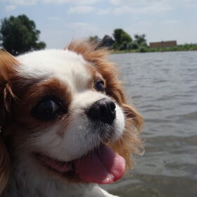 Bobby, I will never forget you! 1 okt.1999 ~4 juli 2011