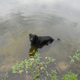 Kom er ook in, het water is heerlijk.