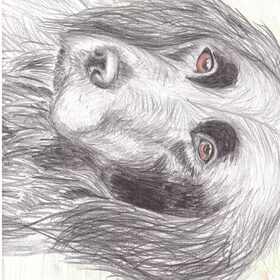 Fenna van Maks & Fenna! getekend.