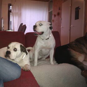 de 3 op de bank:P
