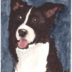 Border Collie aquarel door mij