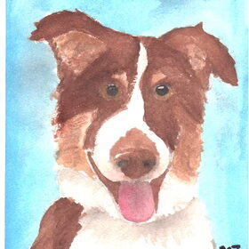 Tweede Border Collie in aquarel
