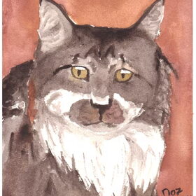 Maine Coon in aquarel
