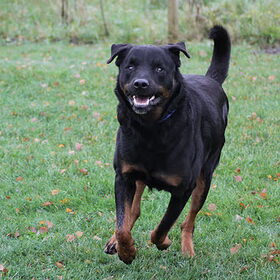 Happy face!