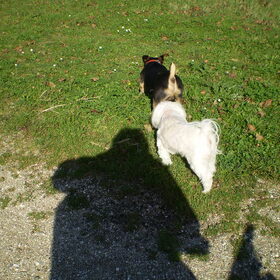 13-OKTOBER-2011 CHICKA EN BANJER