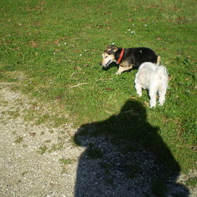 13 OKTOBER-2011 CHICKA EN BANJER