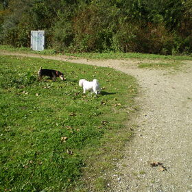 13-OKTOBER-2011 CHICKA EN BANJER