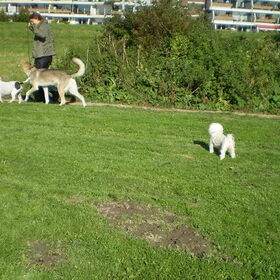 13-OKTOBER-2011 KIJK CHICKA STAAN, M,N LIEF