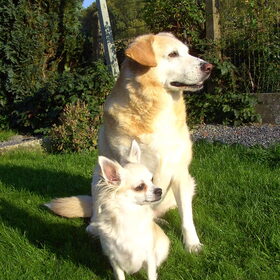 Dalton & Chanel :) Vriendjes van kylie