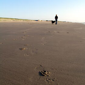 Ik en mijn hondje tijdens een strandwandeling op een zwoele…