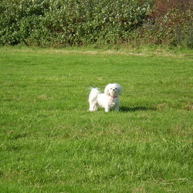 14 OKTOBER 2011 M,N LIEF, CHICKA