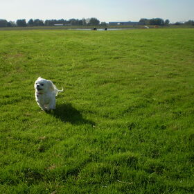 14 OKTOBER 2011 PSSTTT VROUWTJE IK KAN LACHEN EN RENNEN TEGELIJK