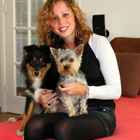 Hondenfoto van *~-Sammy-Ft -Jady- Ft -Bailey-~*