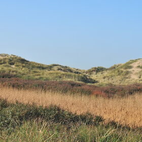 Strand en duinen IJmuiden 14/10/2011