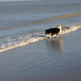 oeh, nog een beetje spannend hoor, die zee