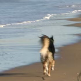 Heerlijk op het strand!