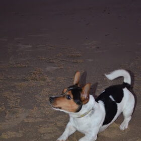 Spelen op het strand, tot de zon onder gaat