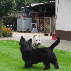 Samen met Blacky