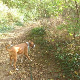 wandelen6 17/10/11
