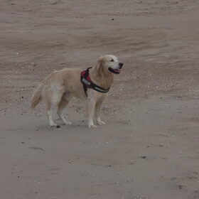 Tibo aan Zee 17/10/2011