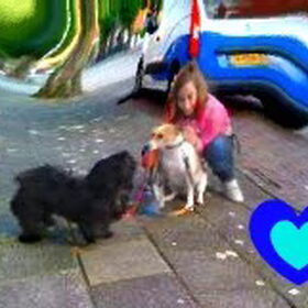 Hondenfoto van Madelon&Baloe