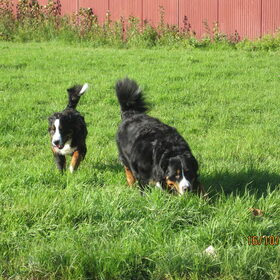 Lekker spelen in het gras