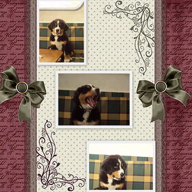 Hondenfoto van Madelon&Baloe