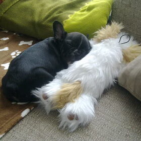 Hier lag hij eerst tegen mijn schoot aan totdat het eten werd…