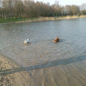 Joysa† samen met dachou op Bussloo.