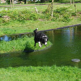 Mei 2009 - Spring!