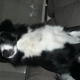 mijne 1jarige jonge!!!kzie u graag woody