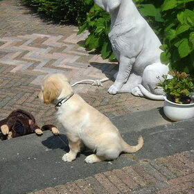 ben in de tuin bij beeld hugo...