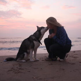 liefde is......