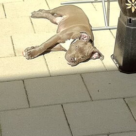 genieten ;-)