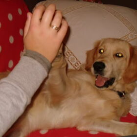 high five .....