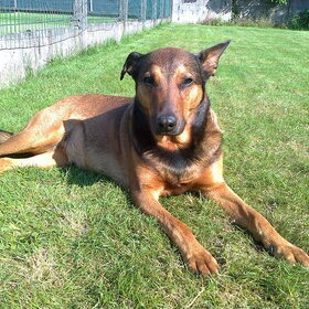 Betrapt op lekker liggen in de tuin ! Oktober 2011
