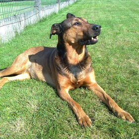 Lekker in het zonnetje genieten. Oktober 2011