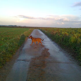 Wet wet wet :-) Oktober 2011