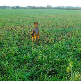 Avondzonnetje! Oktober 2011