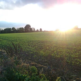 Het stipje links van de zon is Kylie die naar de zonsondergang…