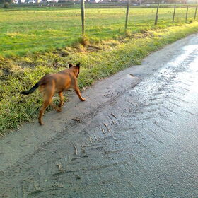 Modder! Geen probleem. Oktober 2011