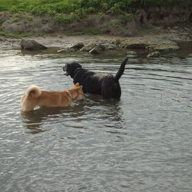 Kenai & Max