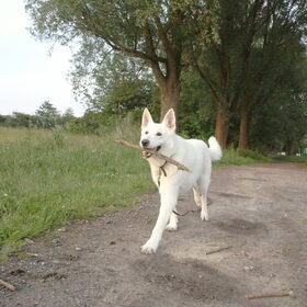 Charlie