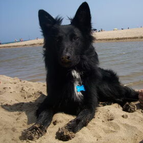 lekker op het strand