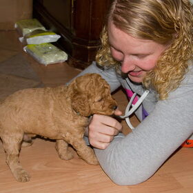 Zo in Love