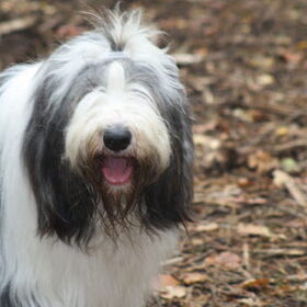 Heeeeele vieze baard.. Typisch Duuk. En dan ook nog zoveel…