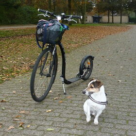 Gaan we nou nog steppen??