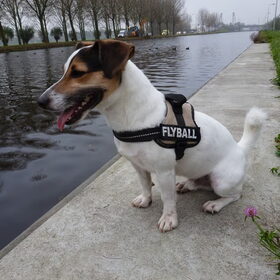 Bij het kanaal.