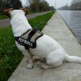 Nog even lekker zitten, voordat we weer op de step naar huis…